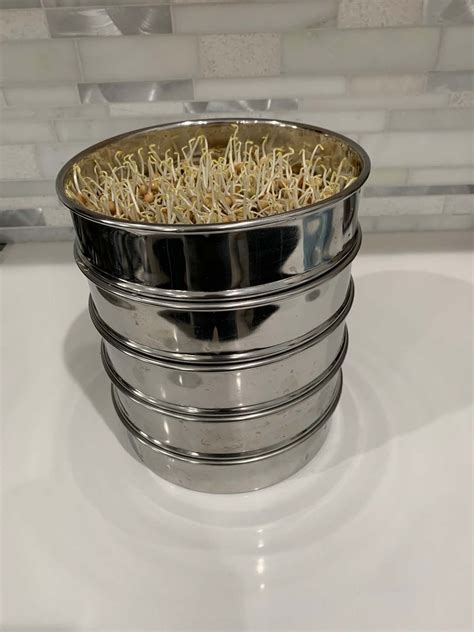 stainless steel sprouting kit